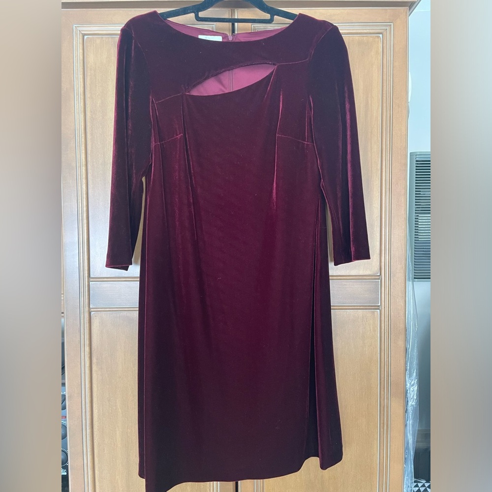 Donna Morgan velvet dress